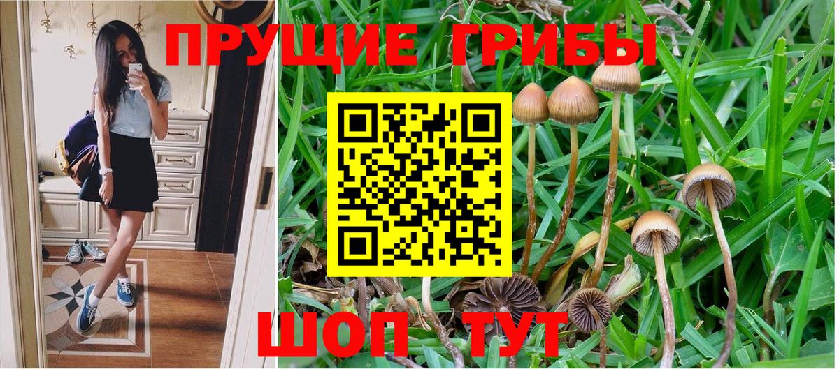 Омск  закладки  Вход с VPN  Галлюциногенные грибы Cubensis 