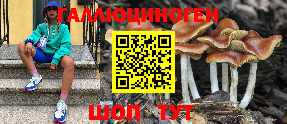 Галлюциногенные грибы Cubensis Омск